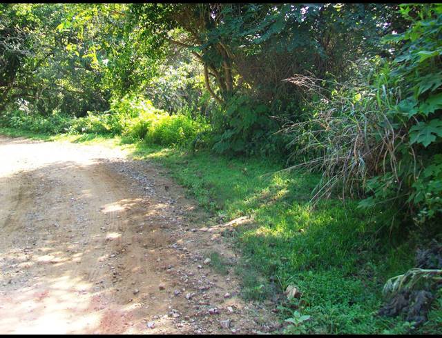 1,682M² VACANT LAND FOR SALE IN PALM BEACH